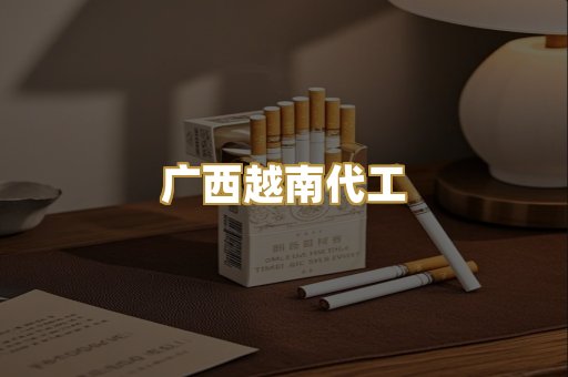 广西越南代工